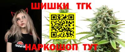 тгк Нальчик