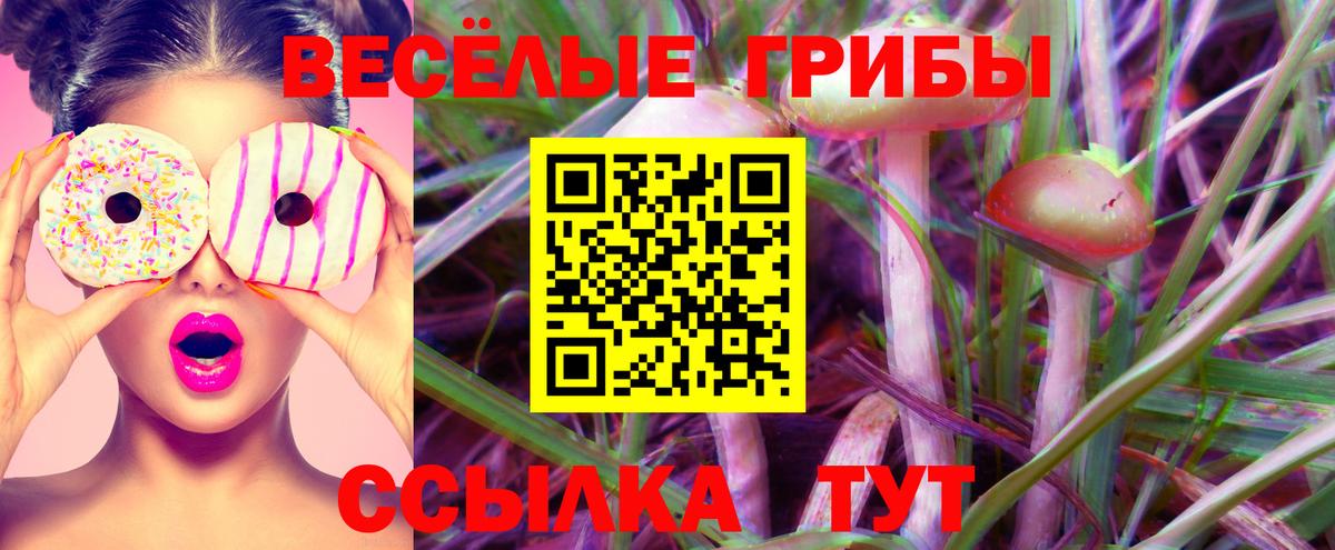 Сорочинск  Галлюциногенные грибы Magic Shrooms  купить закладку  Вход с VPN 